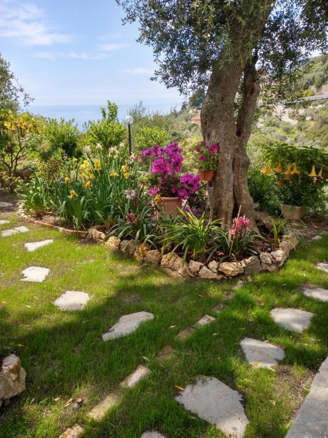 Villino Brunetto Azienda Agrituristica 카모글리 외부 사진