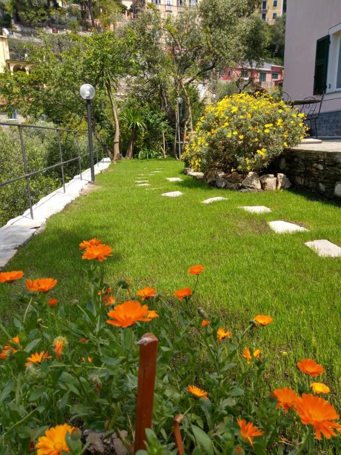 Villino Brunetto Azienda Agrituristica 카모글리 외부 사진