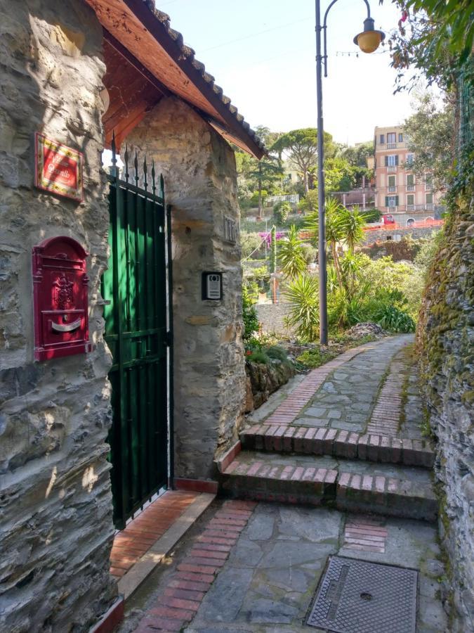 Villino Brunetto Azienda Agrituristica 카모글리 외부 사진