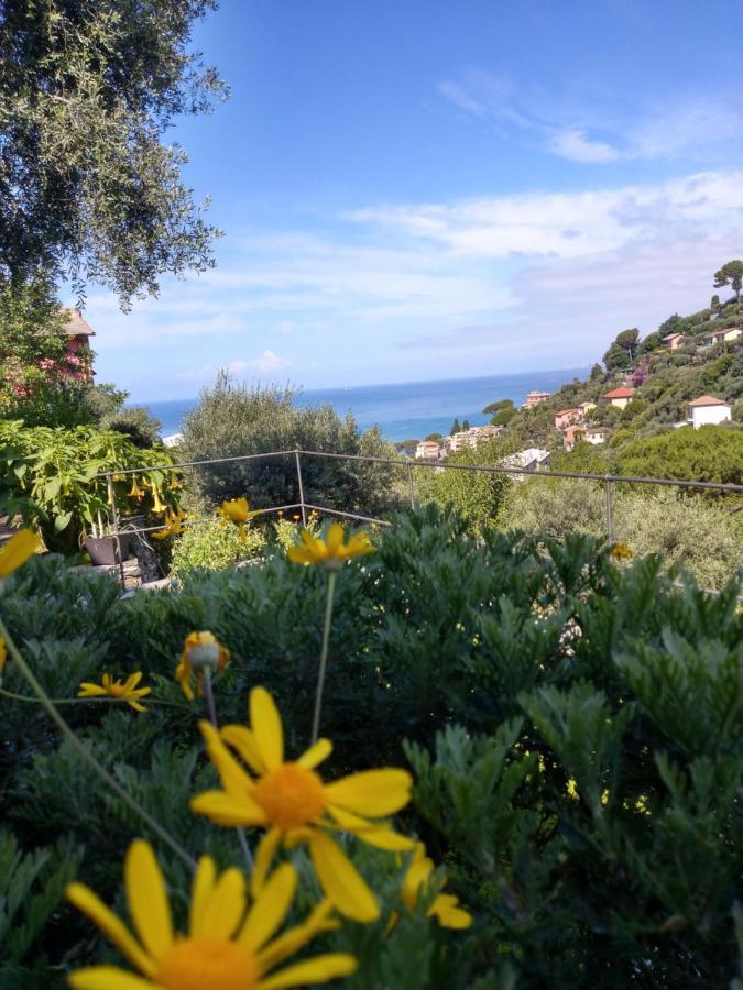 Villino Brunetto Azienda Agrituristica 카모글리 외부 사진