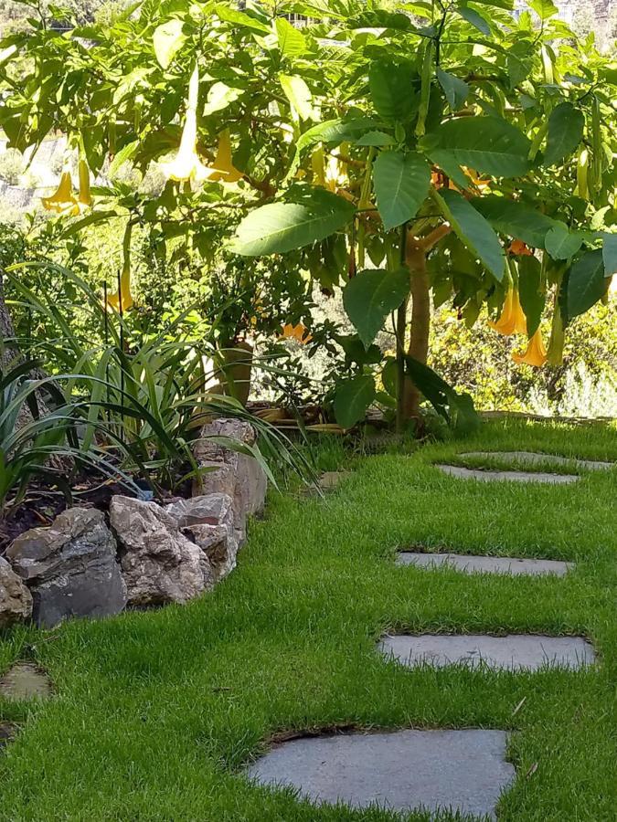 Villino Brunetto Azienda Agrituristica 카모글리 외부 사진