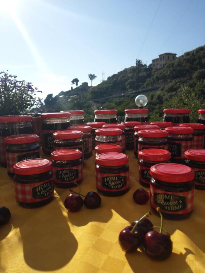 Villino Brunetto Azienda Agrituristica 카모글리 외부 사진