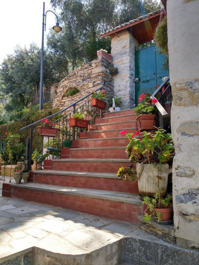 Villino Brunetto Azienda Agrituristica 카모글리 외부 사진